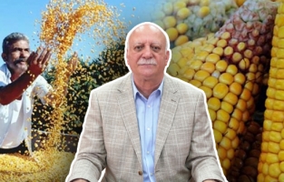 TZOB Başkanı Bayraktar: TMO, mısır fiyatlarını bir an önce açıklamalıdır