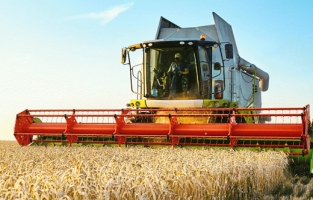 Rekor artış! Çiftçinin enflasyonu yine yükseldi..