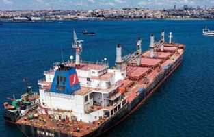 10 milyon ton buğday savaş mağduru