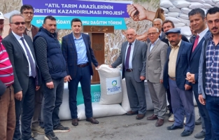 Üreticiye 20 bin kilogram siyez buğdayı tohumu dağıtıldı