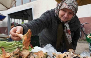 Her derde deva: Kanlıca mantarı...