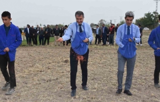 Ziraat okulunda hedef 120 ton buğday üretimi