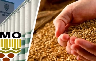 TMO silolarından ürünlerin çalındığı iddiaları! Sayıştay raporlarına yansıdı