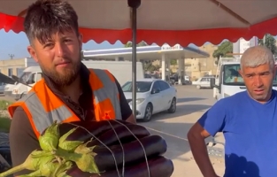 Fırıncılığı bırakıp patlıcan yetiştirdi! Umduğunu bulamadı