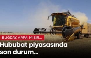 17 Şubat hububat piyasasında son durum...