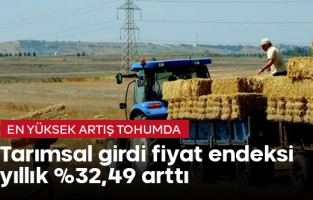 Tarımsal girdi fiyat endeksi Aralık 2024'te yıllık bazda %32,49 arttı