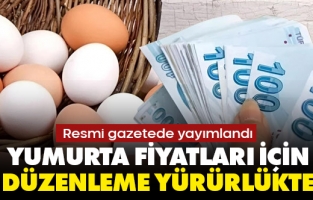 Yumurta fiyatlarına zam endişesi giderildi