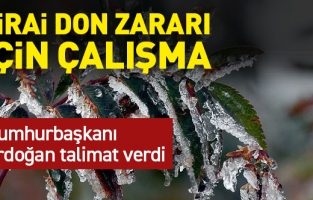 Cumhurbaşkanı Erdoğan’dan zirai don zararı gören çiftçilere destek müjdesi