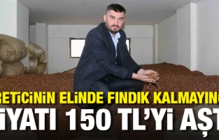 Giresun’da fındık 150 TL’ye dayandı: Rekor fiyata rağmen pazarda ürün yok!