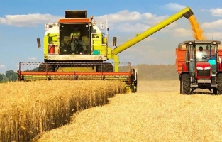 TMO 2025 Mayıs Buğday ve Arpa Fiyatlarını Açıkladı