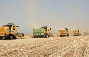 TMO 2025 hububat alım fiyatlarını açıkladı