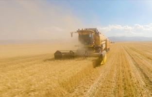 TMO’dan hasat öncesi "maliyet" darbesi