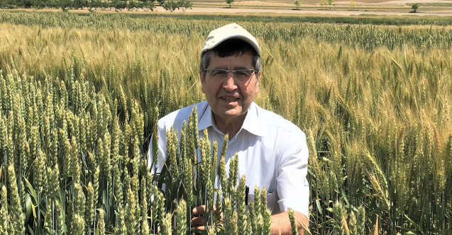 Prof. Dr. Hamit Köksel: Gıdada hammadde önemi artıyor'