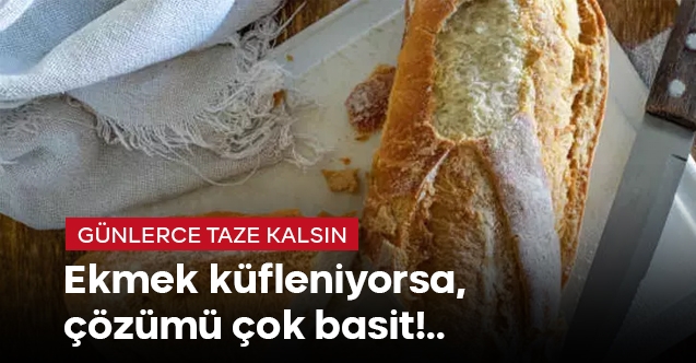 Ekmek küfleniyorsa çözümü çok basit!