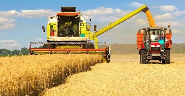 TMO 2025 Mayıs Buğday ve Arpa Fiyatlarını Açıkladı