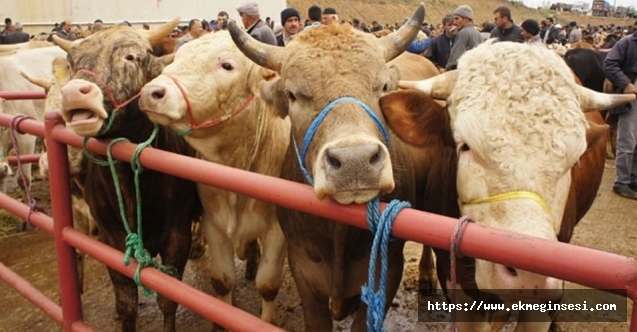 Ülke genelinde hayvan pazarları ikinci bir emre kadar kapatıldı