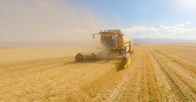 TMO’dan hasat öncesi "maliyet" darbesi