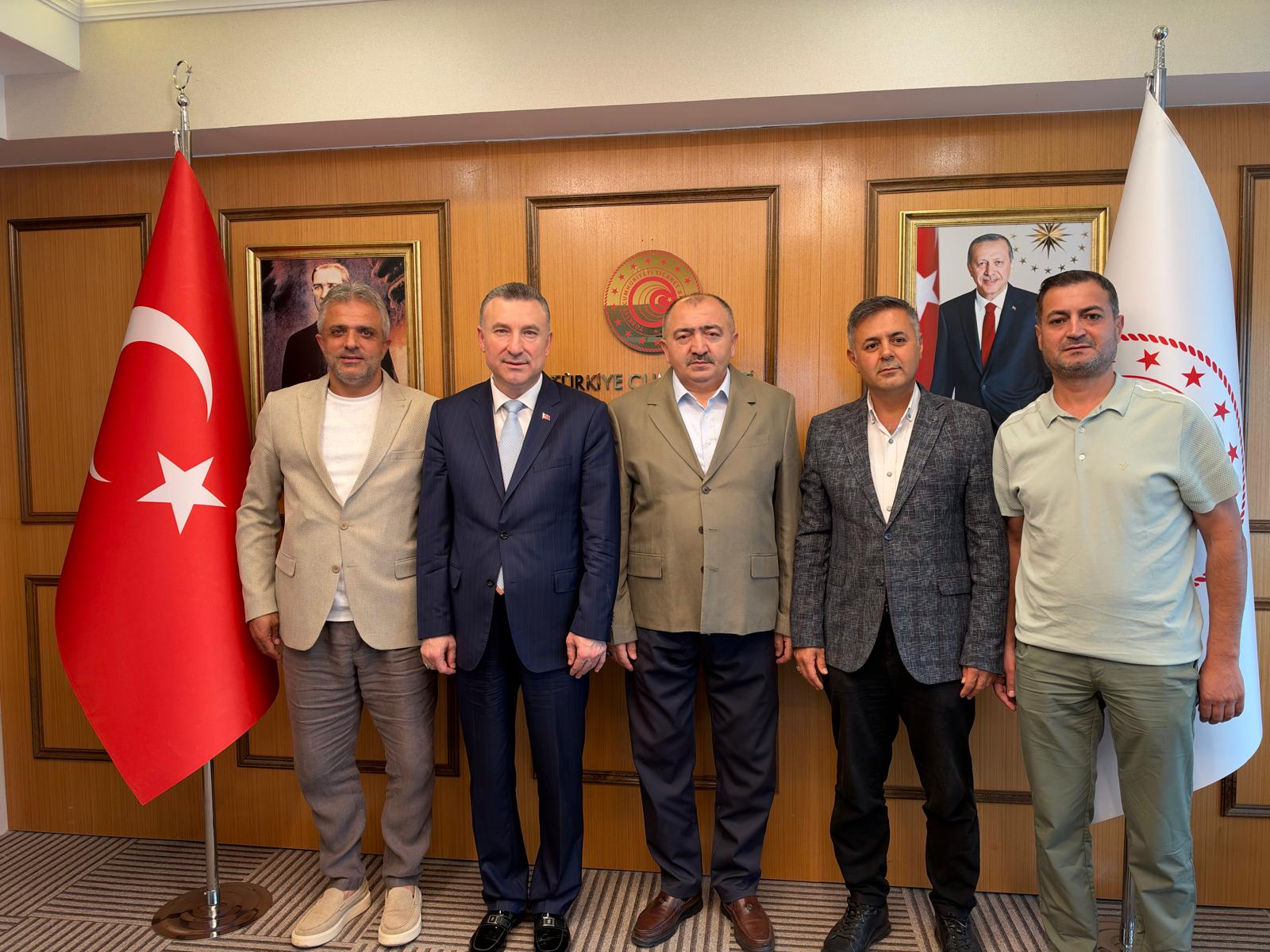 İçerik görseli