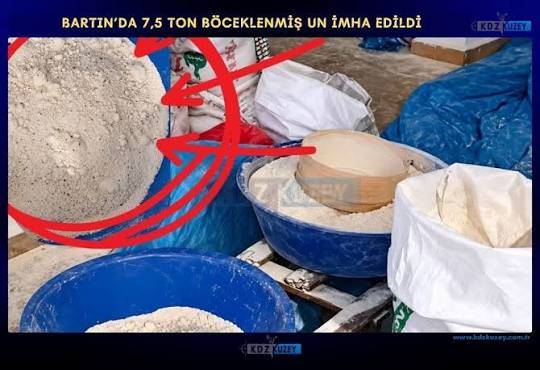 İçerik görseli